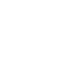 casino-chip1-icon.png