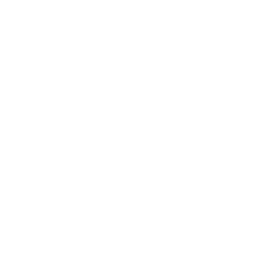 security1-icon.png