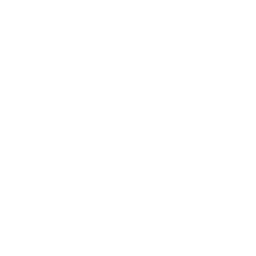 bingo-white-icon.png