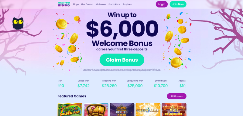 free spirit bingo online casino new zealand